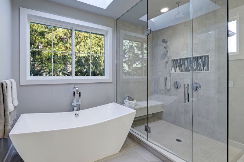 Modern Bathtubs and Showers